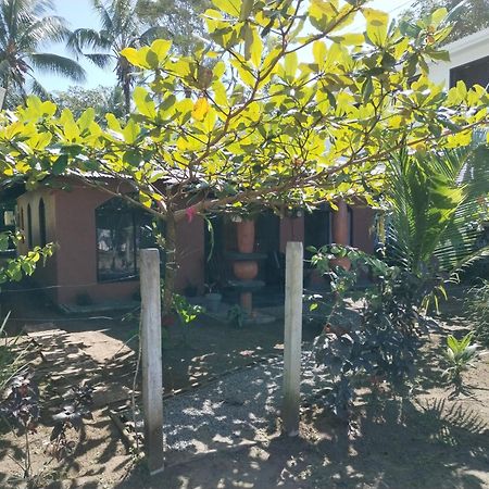 Micheck Beach House Tortuguero Exterior foto